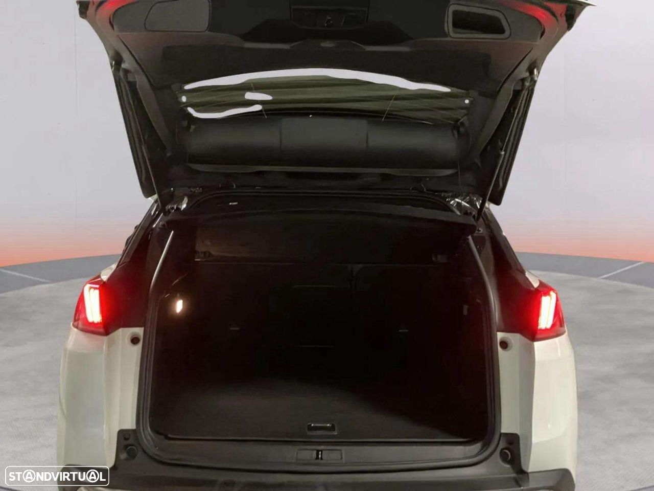 Peugeot 3008 - 17