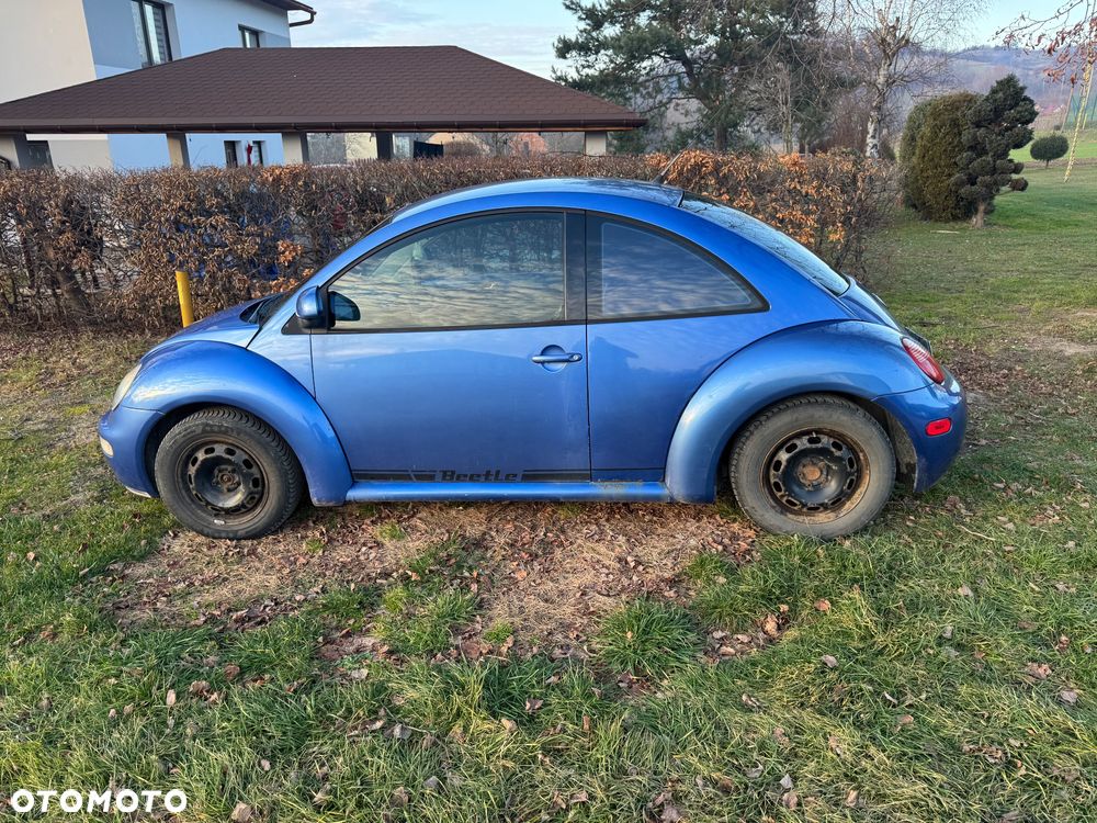 Volkswagen Beetle - 12