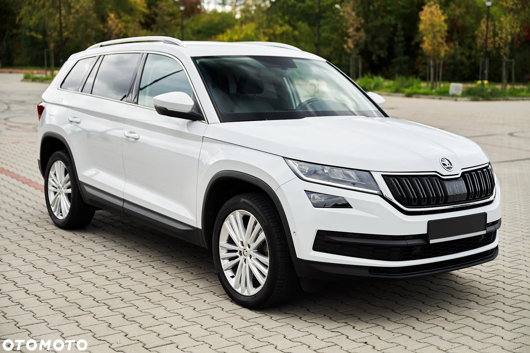 Skoda Kodiaq 2.0 TDI 4x4 Business DSG - 12