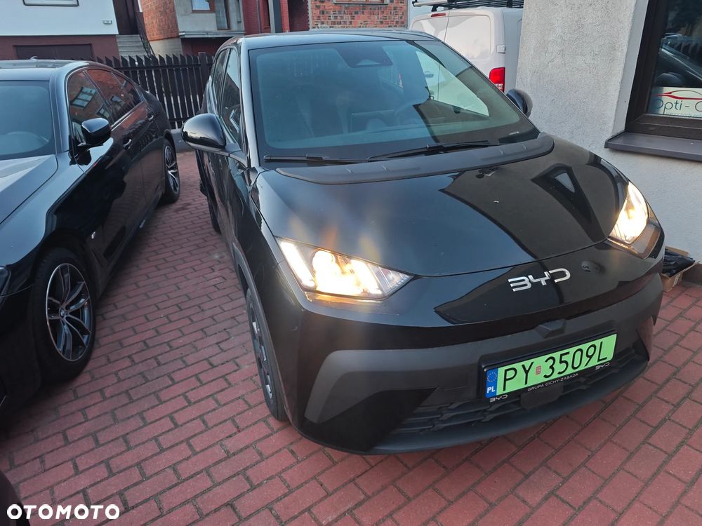 BYD Dolphin Surf 43.2kWh Boost - 22