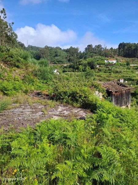 Terreno com Ruinas - Grande imagem: 5/12