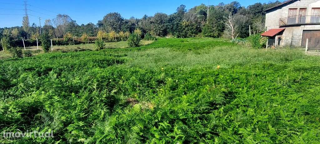 Terreno Rústico - Fiscal - Grande imagem: 3/5