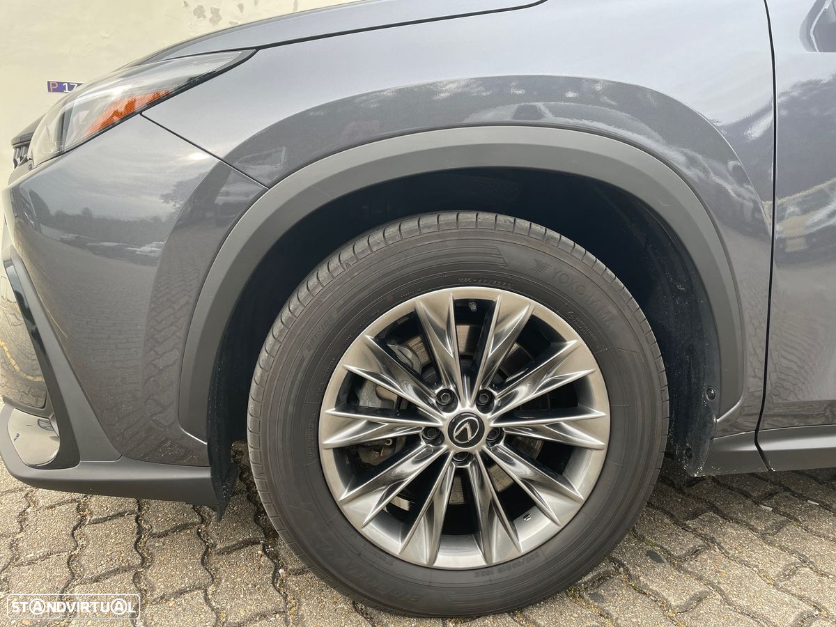 Lexus nx-450hplus - 16
