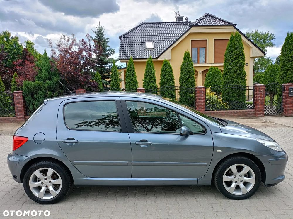 Peugeot 307 - 8