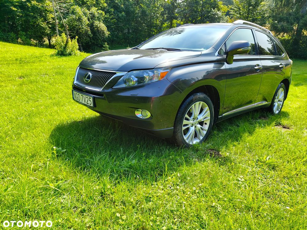 Lexus RX - 3