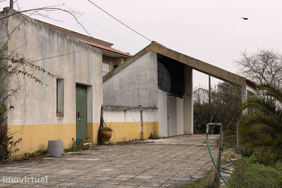 Terreno  para venda - Grande imagem: 3/23