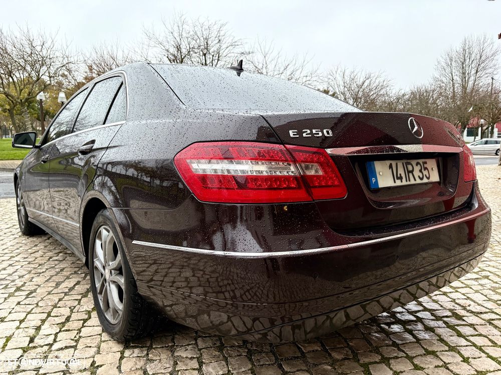 Mercedes-Benz E 250 CDI Avantgarde BlueEfficiency Auto. - 14