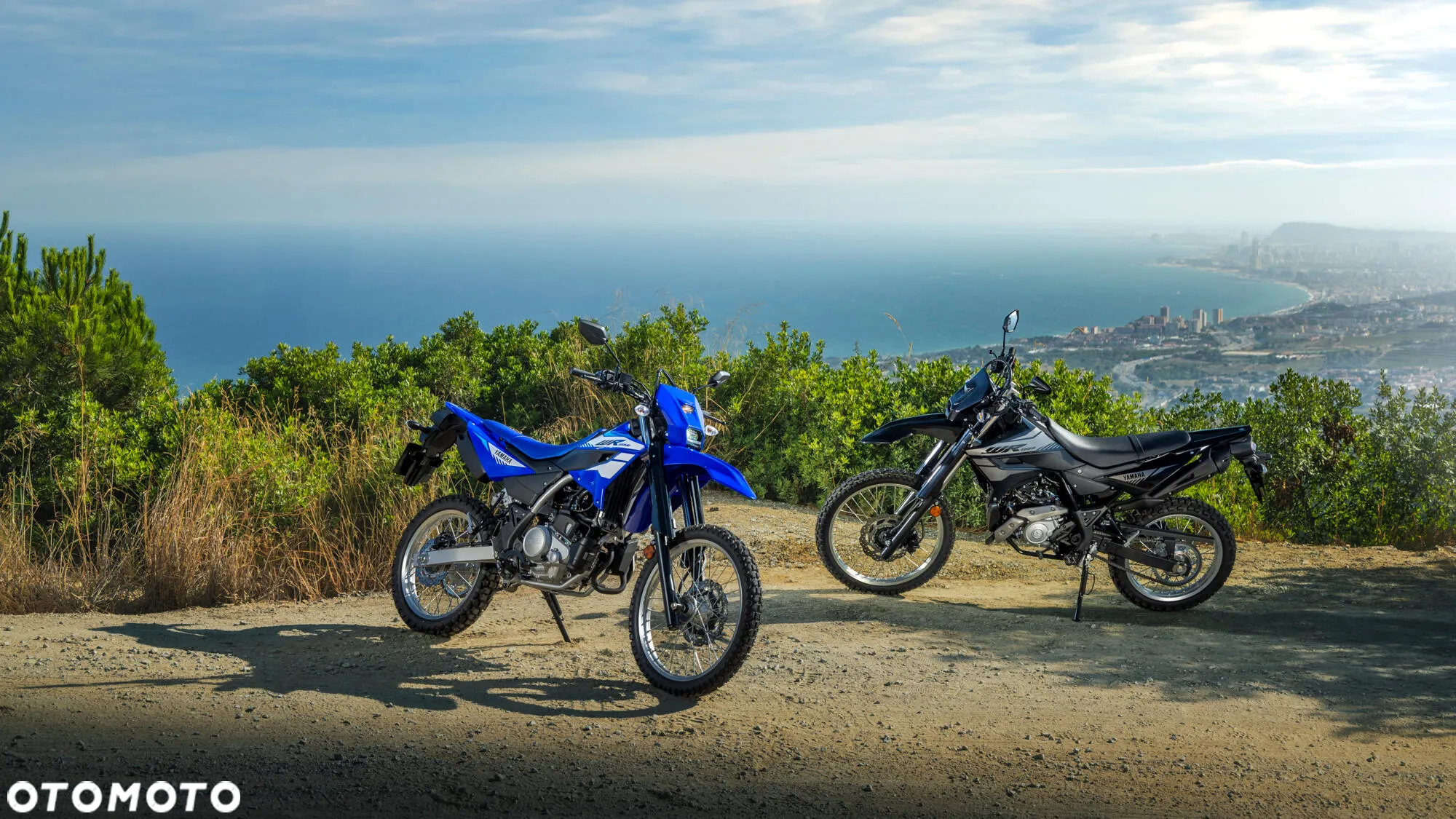 Yamaha WR