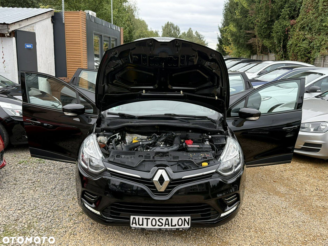 Renault Clio - 32