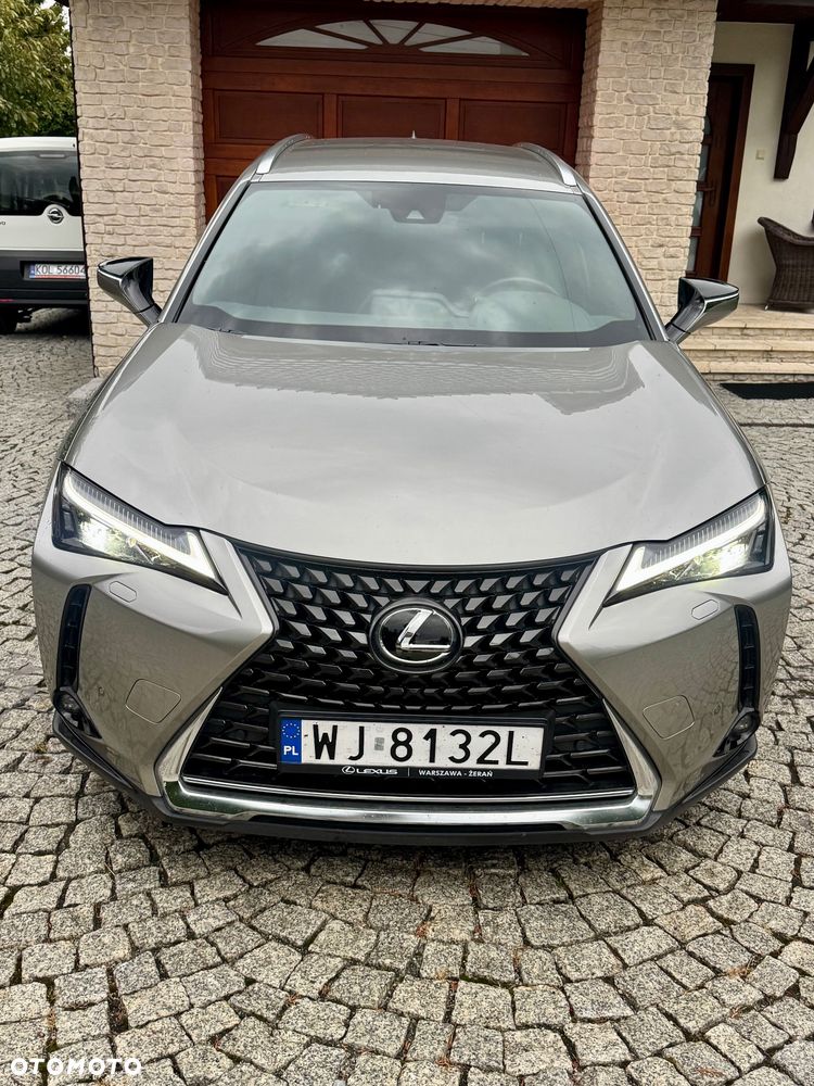 Lexus UX 250h F Sport 2WD - 38