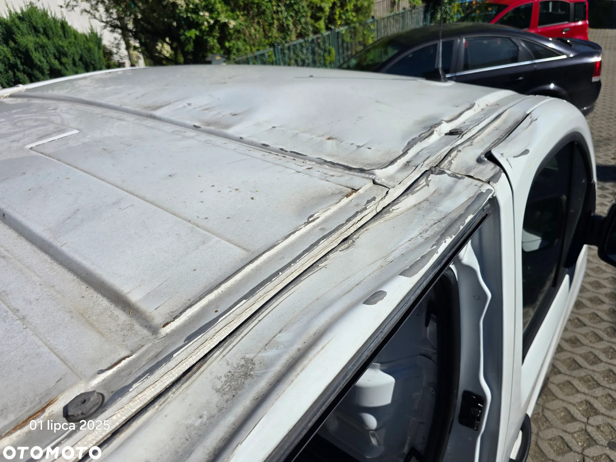 Renault Trafic - 19