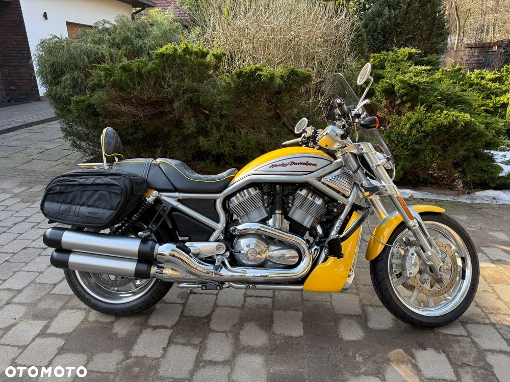 Harley-Davidson V-Rod Street Rod - 18