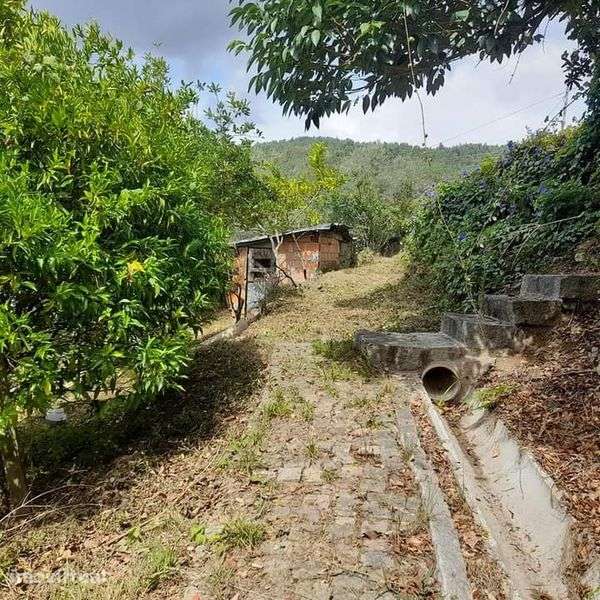 Terrenos rústicos ou urbanos, Casa de campo antiga para restauro... - Grande imagem: 3/8