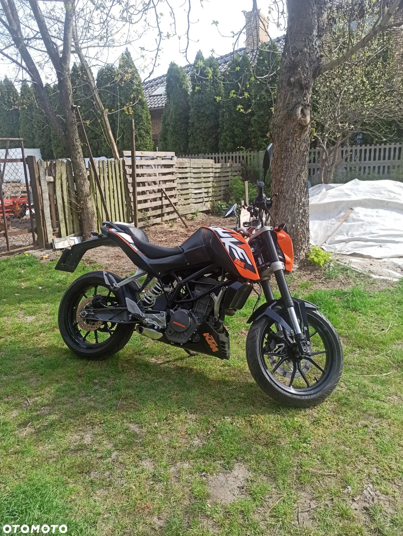 KTM Duke - 1