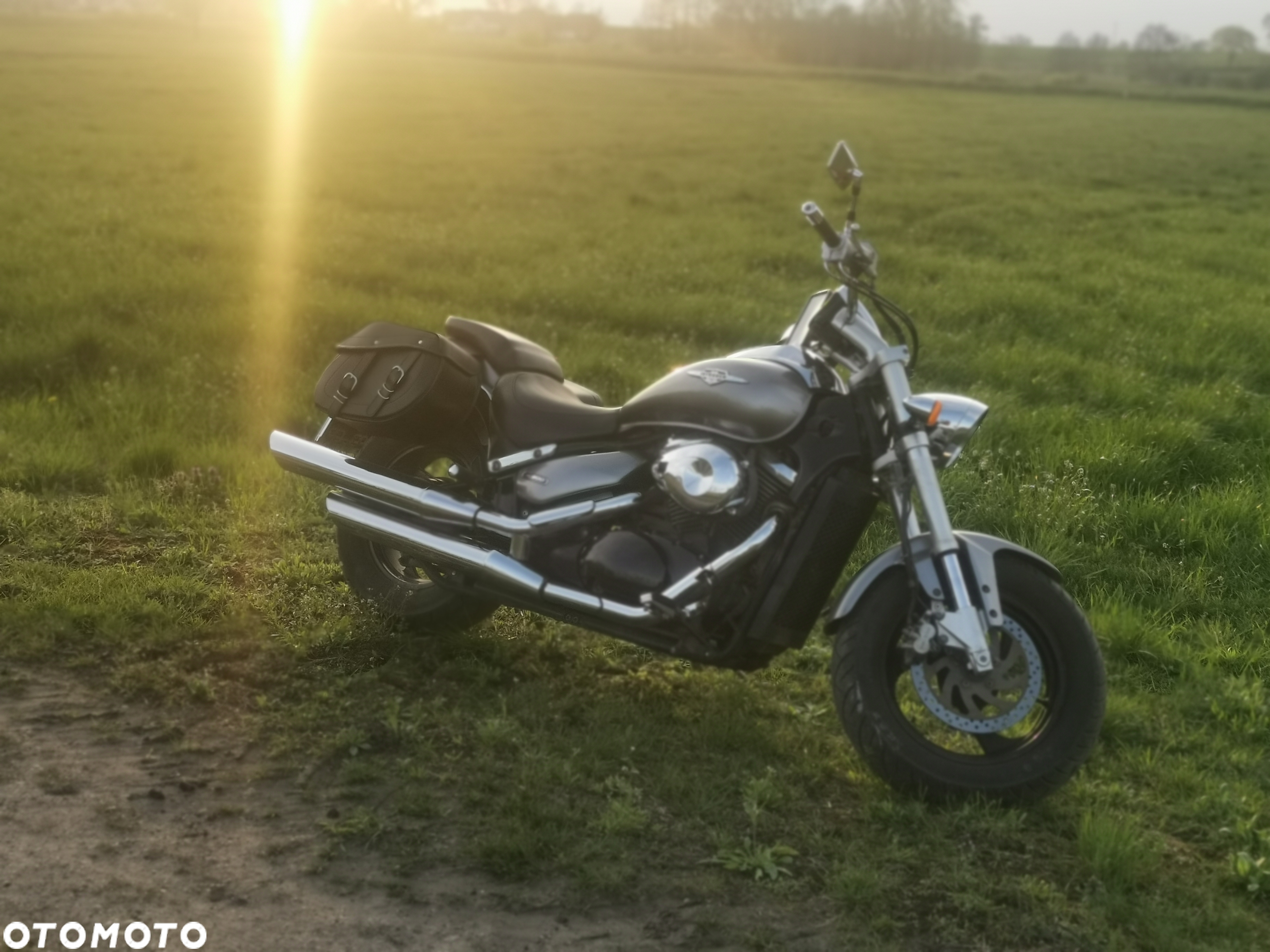 Suzuki Intruder - 3