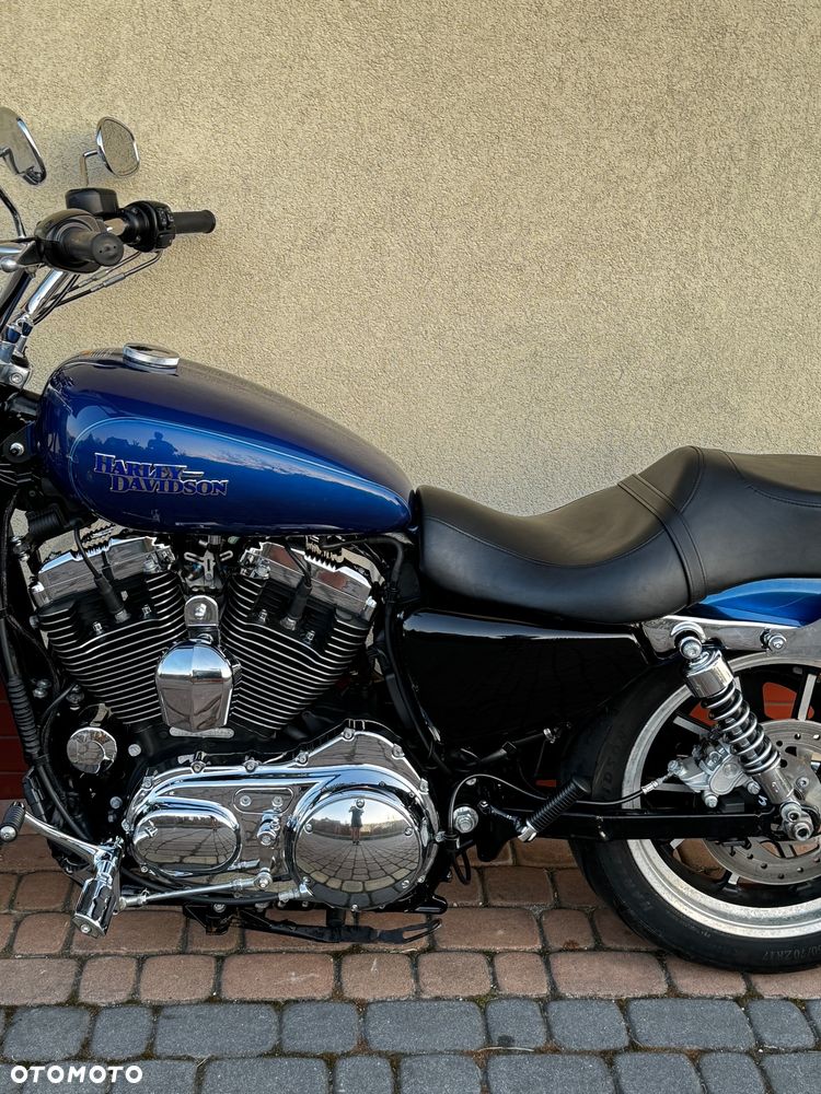 Harley-Davidson Sportster Custom 1200C - 26