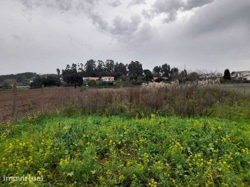 Terreno com 3800 m2 - Grande imagem: 3/12