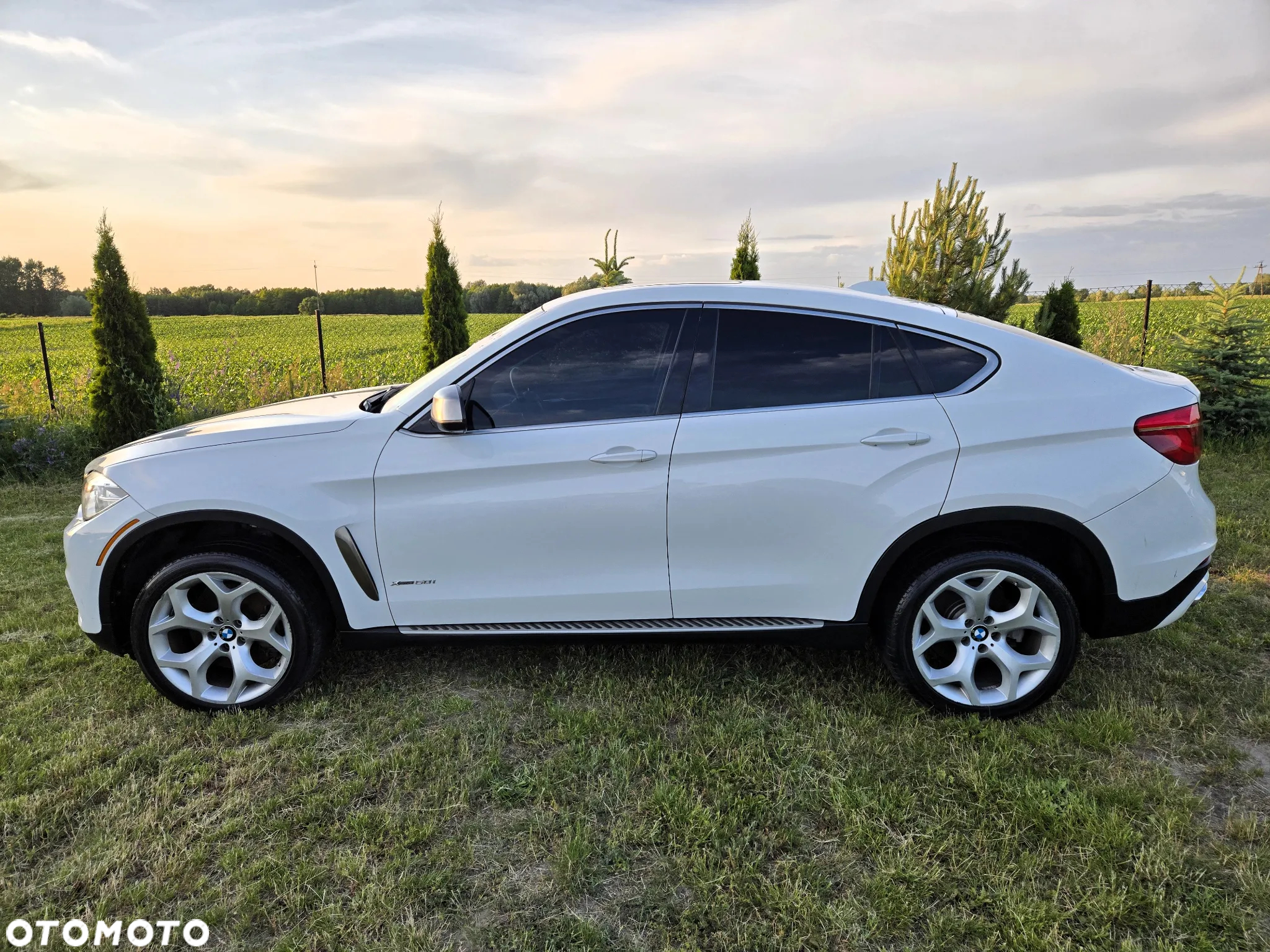 BMW X6 xDrive50i - 6