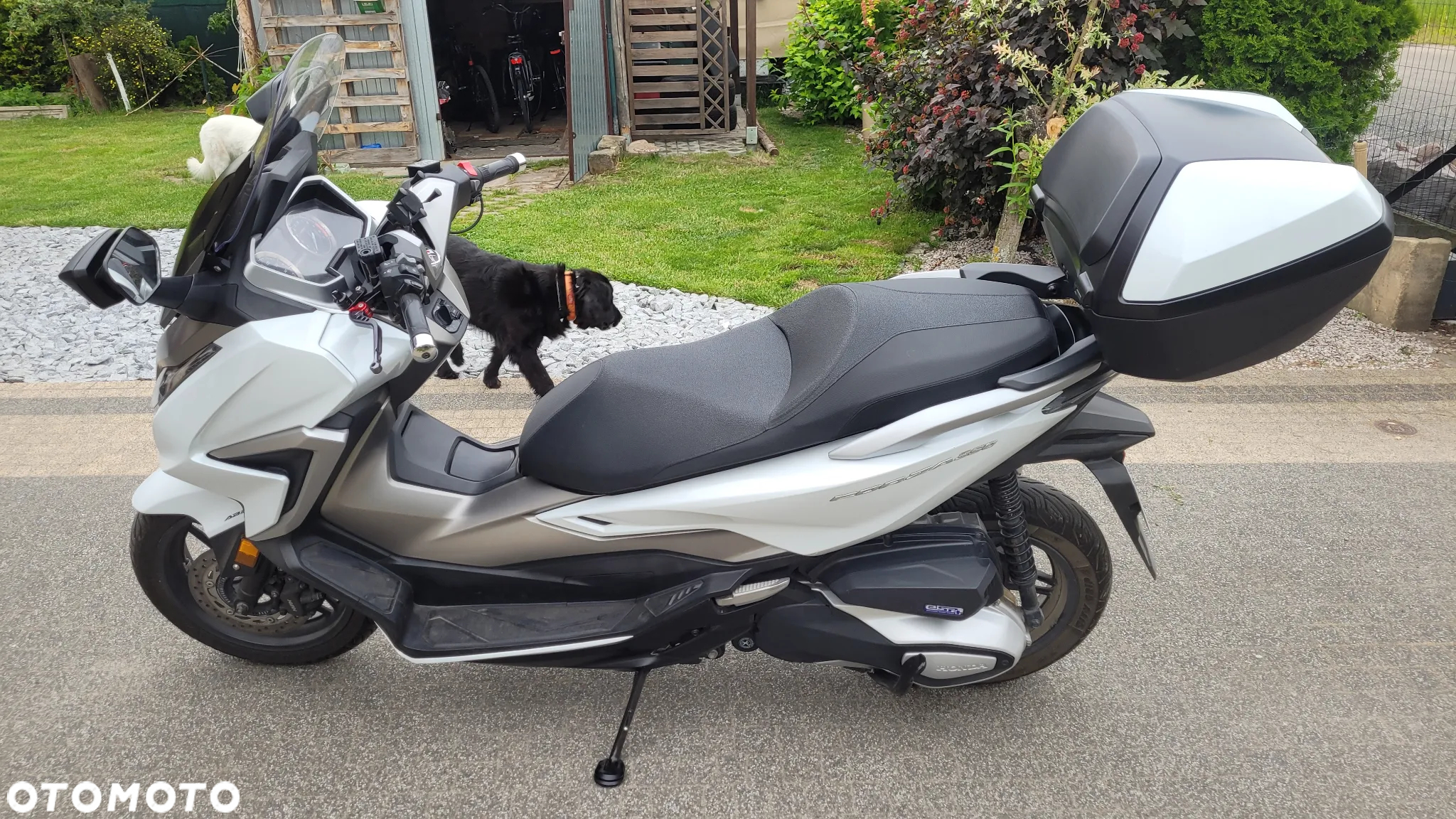 Honda NSS - 5