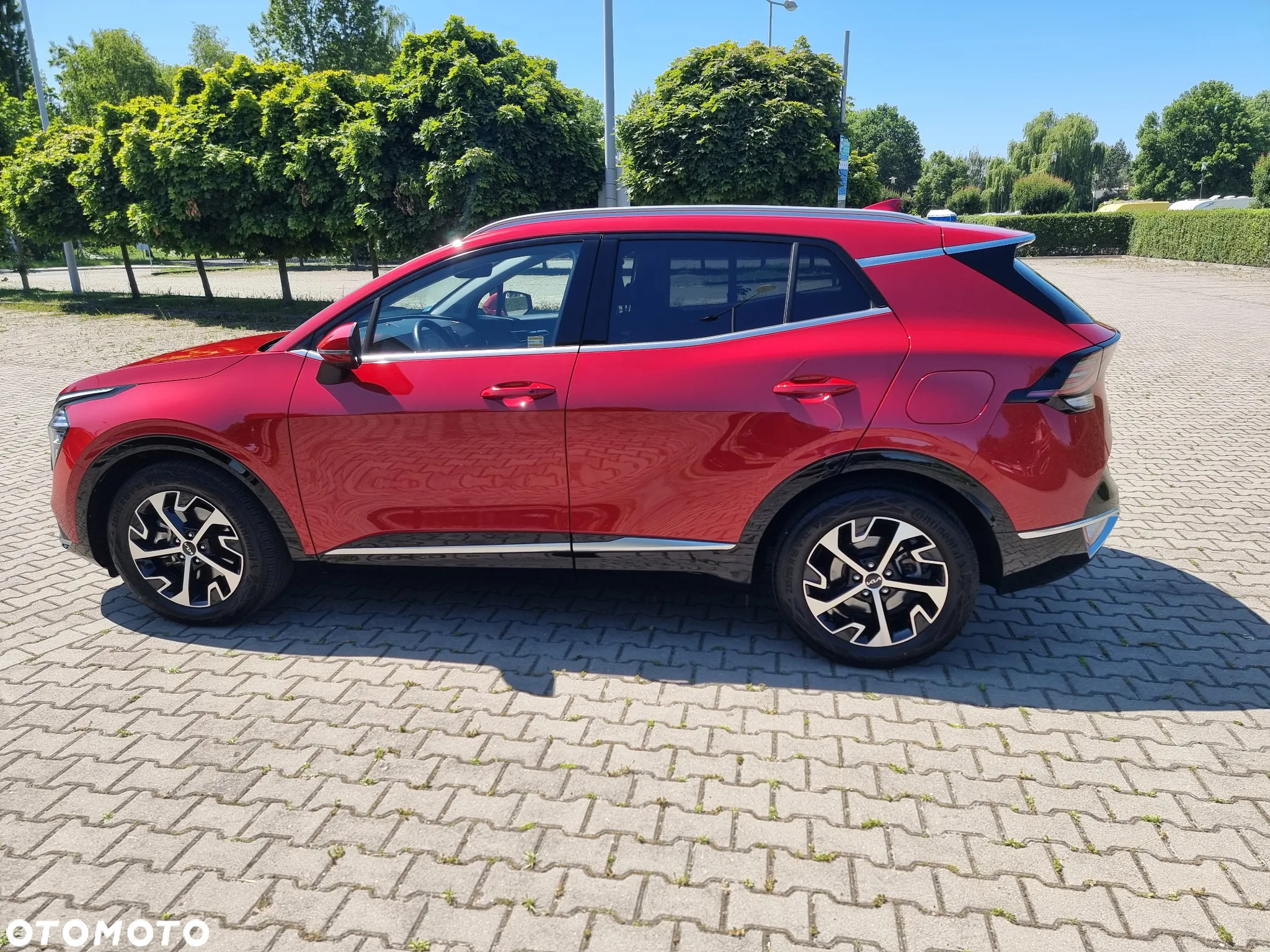 Kia Sportage 1.6 T-GDI MHEV Business Line 2WD DCT - 11