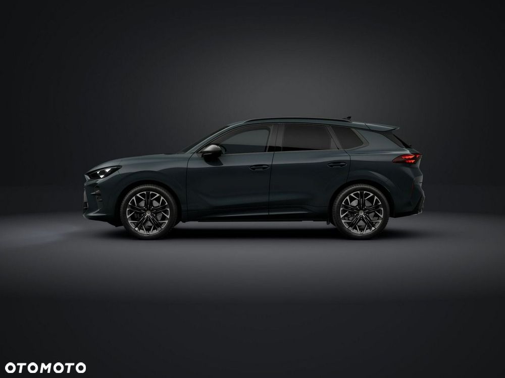 Cupra Terramar - 3