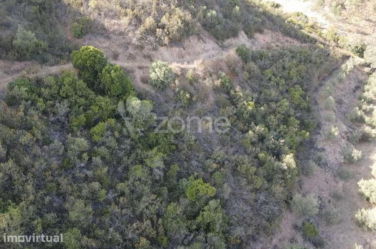 Terreno em Messines – Barranco do Vale Fontes | 23.760 m² - Grande imagem: 3/17