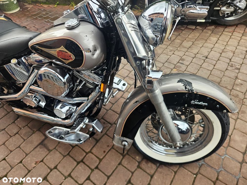 Harley-Davidson Softail - 36