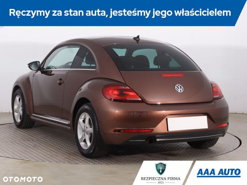 Volkswagen Beetle - 6