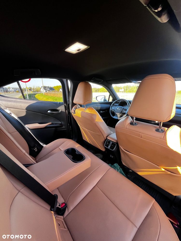 Lexus UX 200 GPF F Sport 2WD - 21