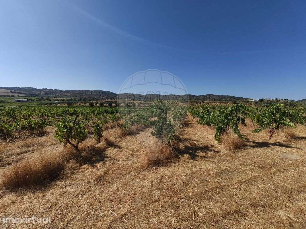 Terreno  para venda - Grande imagem: 2/6