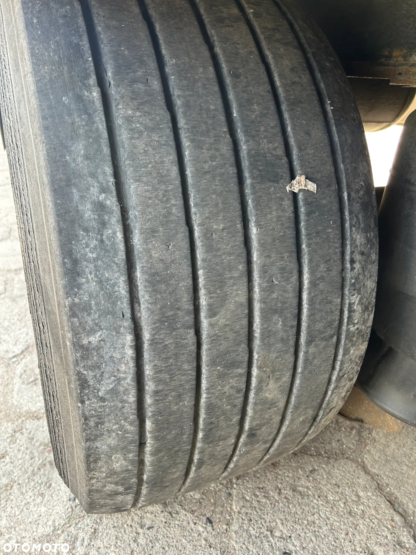 Krone PLATFORMA NISKOPODWOZIOWA z NAJAZDAMI / MEGA R 19.5 / OSIE SAF !! - 19