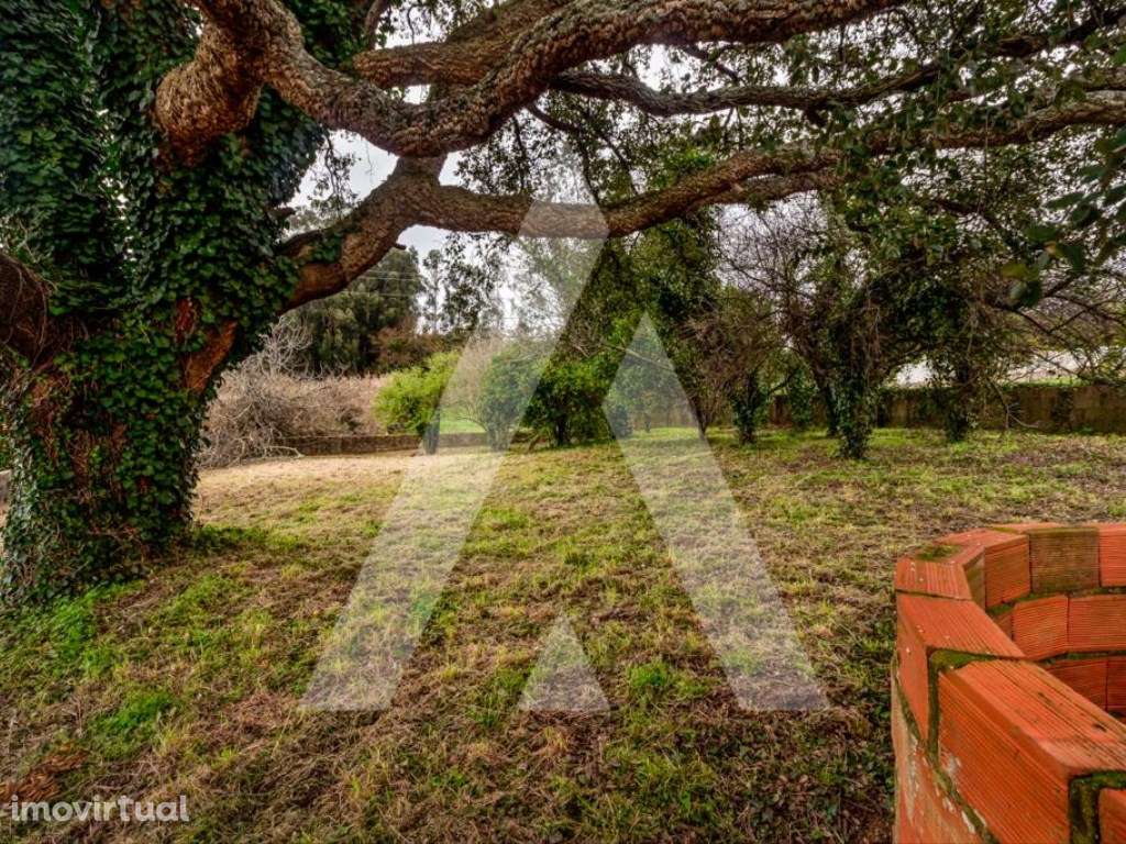 Lote de Terreno para construção de moradia na Sra. Do Monte - Salreu - Grande imagem: 3/12