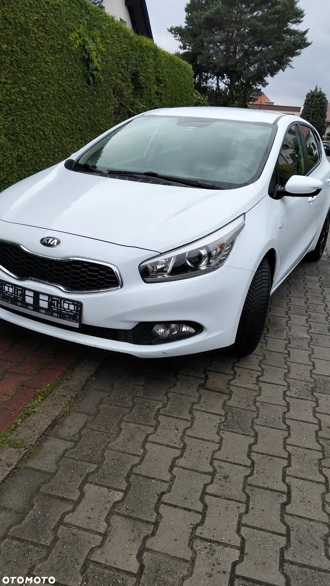 Kia Ceed - 3