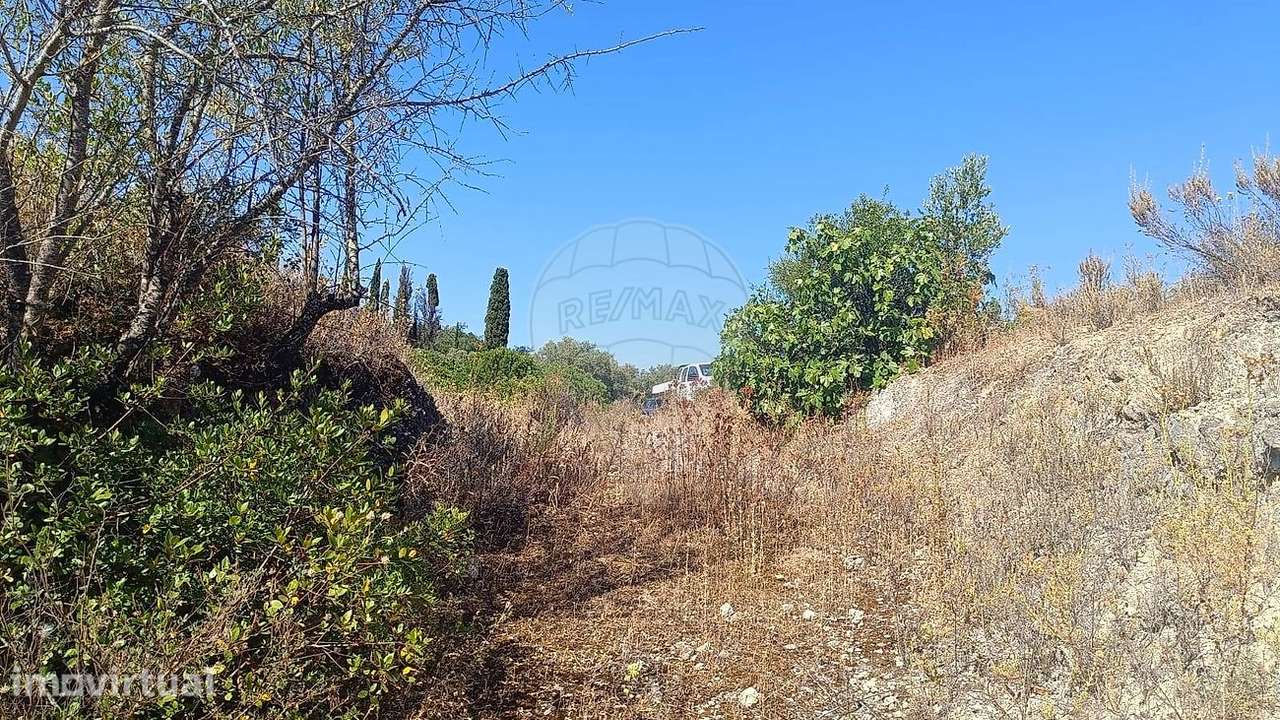 Terreno  para venda - Grande imagem: 2/7