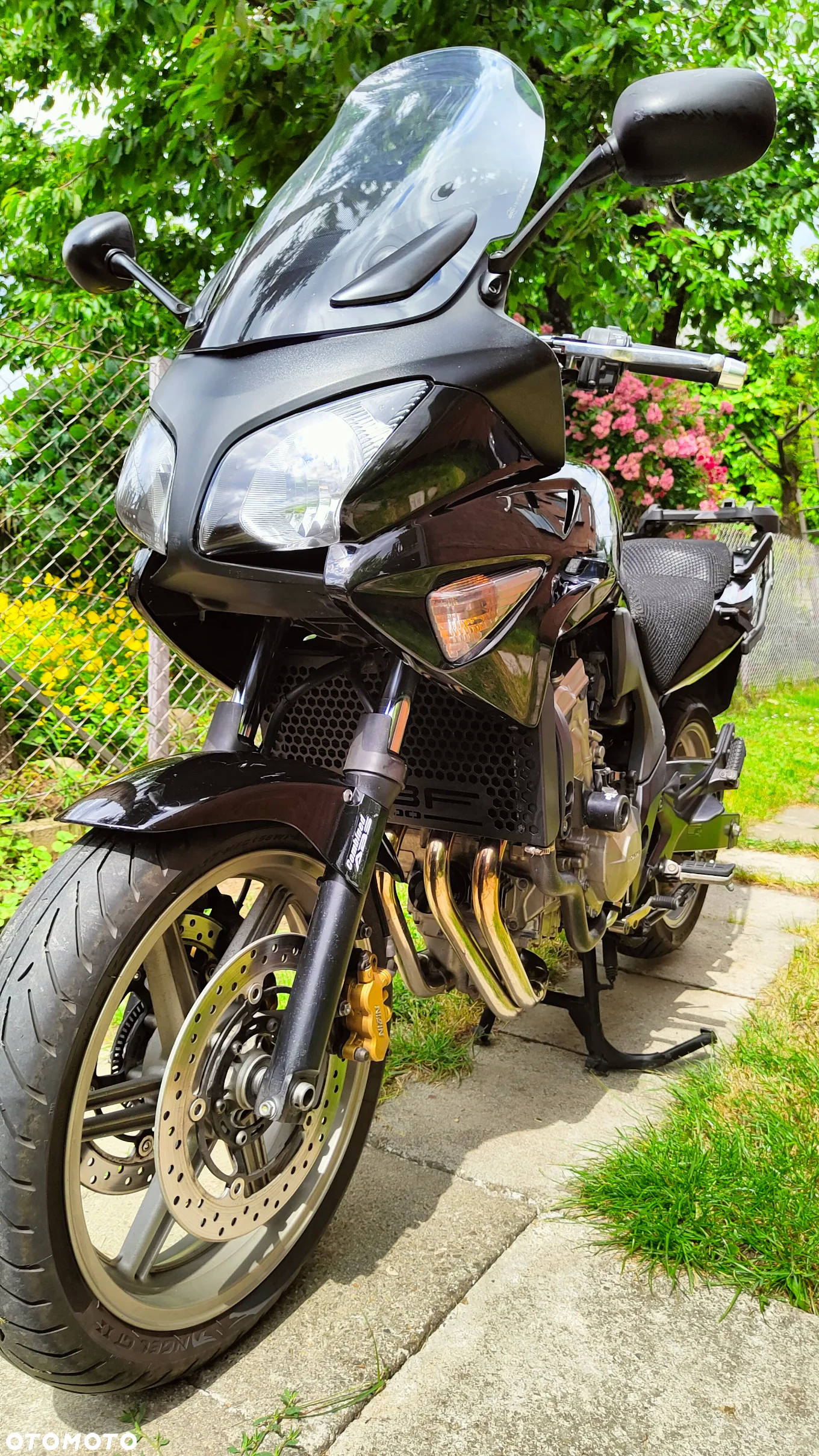Honda CBF - 3