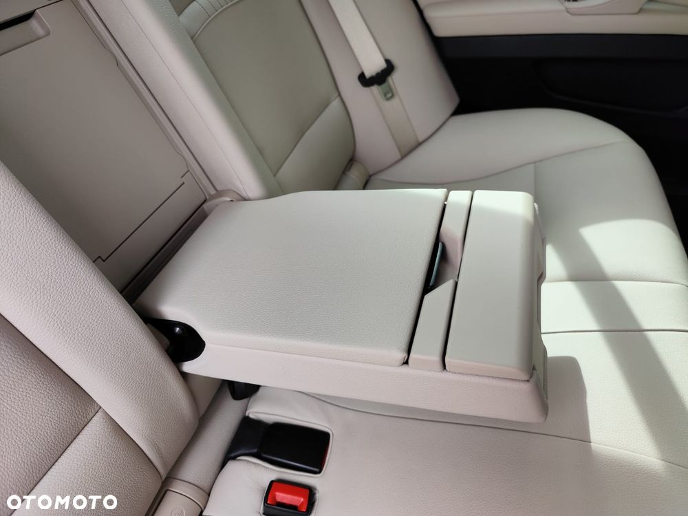 BMW Seria 5 520d Luxury Line - 21