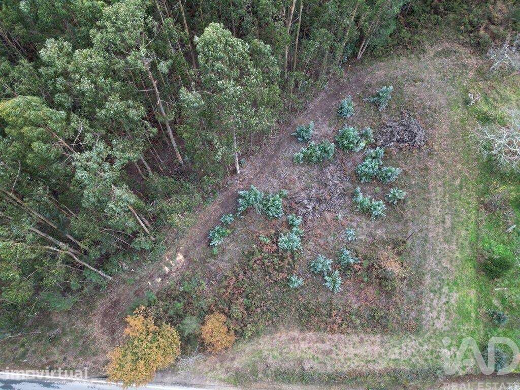 Terreno para construção em Cornes - Grande imagem: 3/4