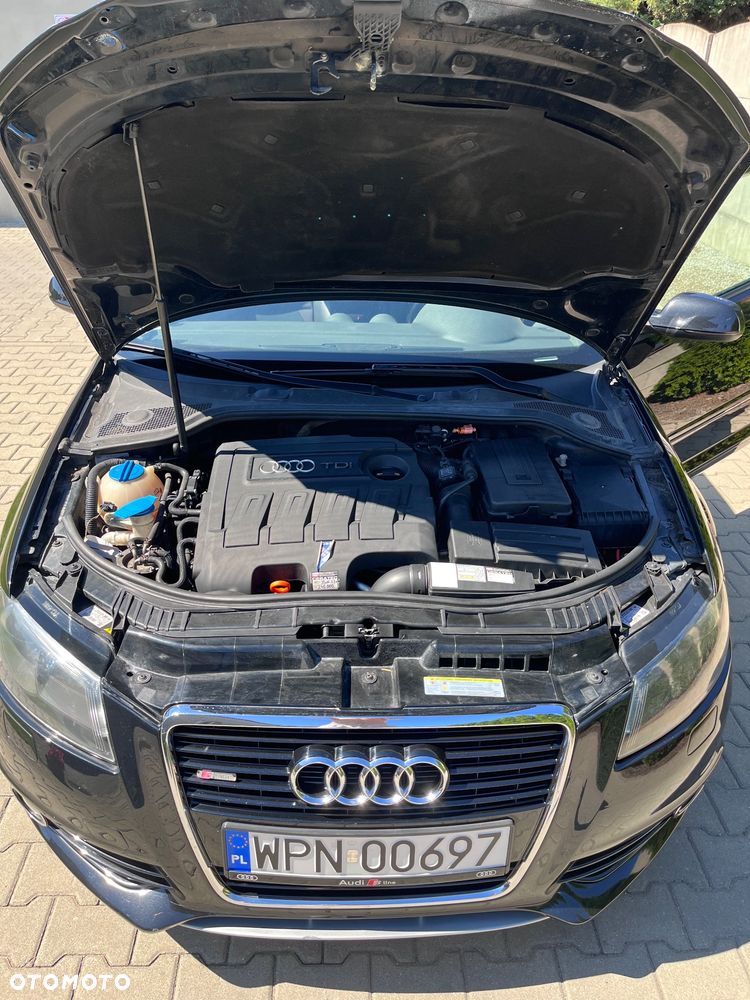 Audi A3 3-drzwiowe 1.6 TDI DPF Ambiente - 10