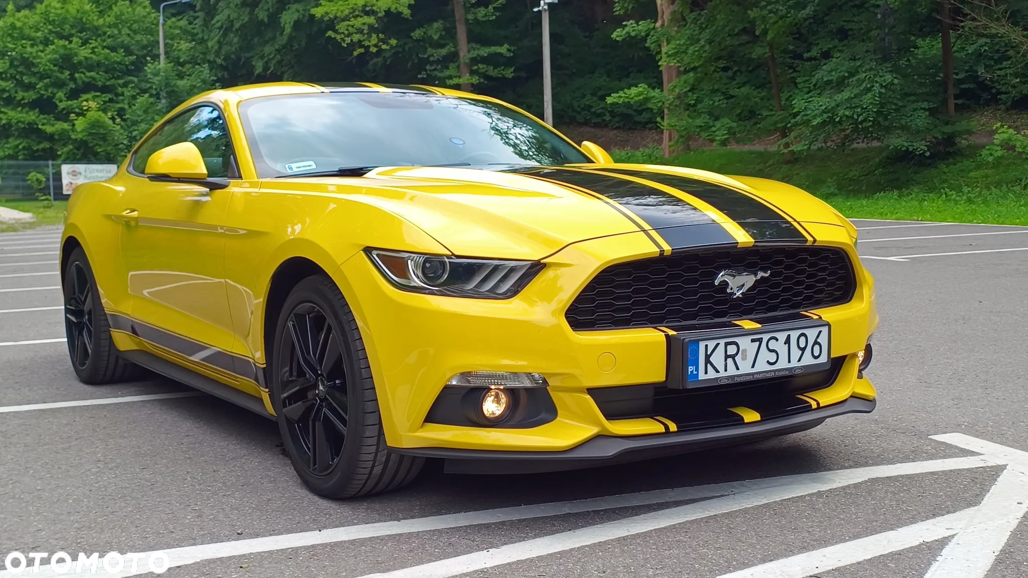 Ford Mustang 2.3 EcoBoost - 12
