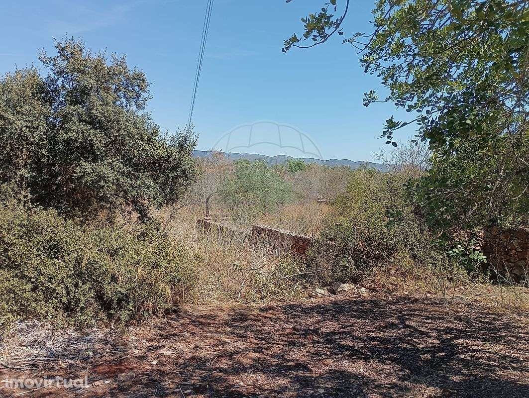 Terreno  para venda - Grande imagem: 2/11