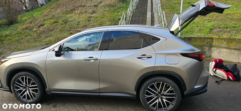 Lexus NX 350h Prestige AWD - 7