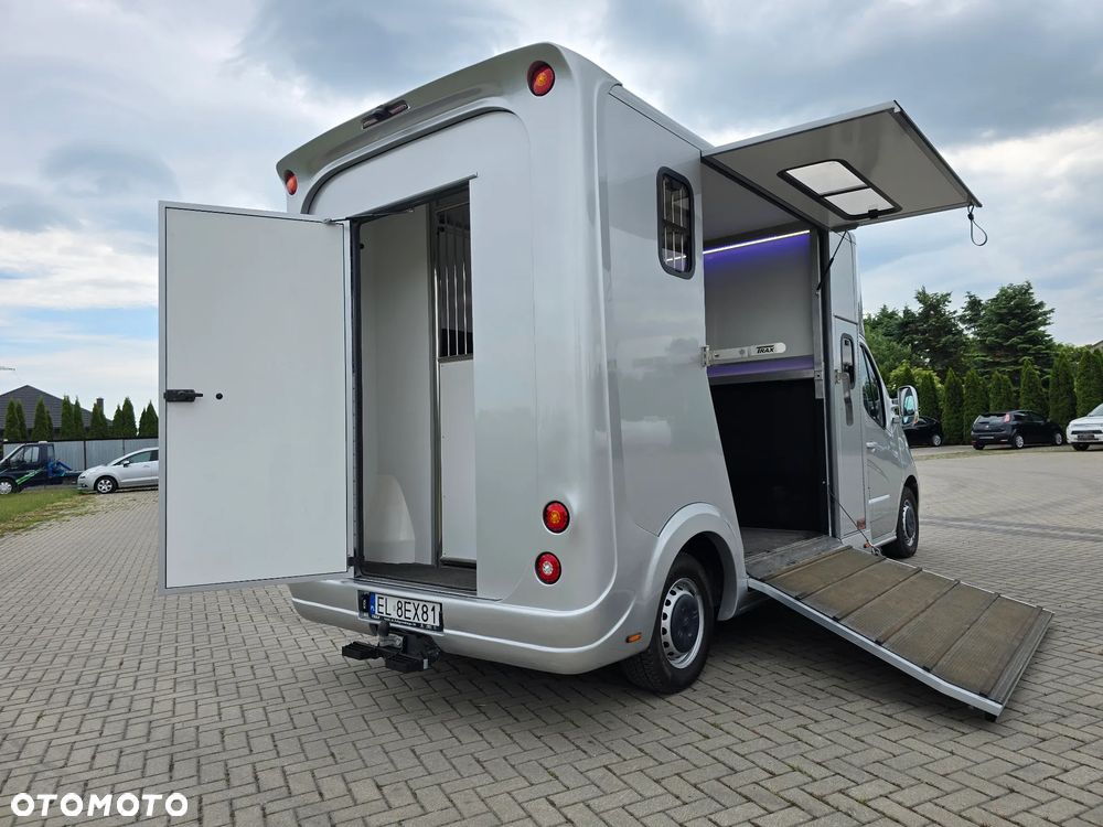 Opel Movano-Koniowóz - 13