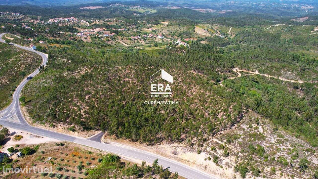 Terreno Rústico localizado em Carregueiros, Tomar - Grande imagem: 2/15