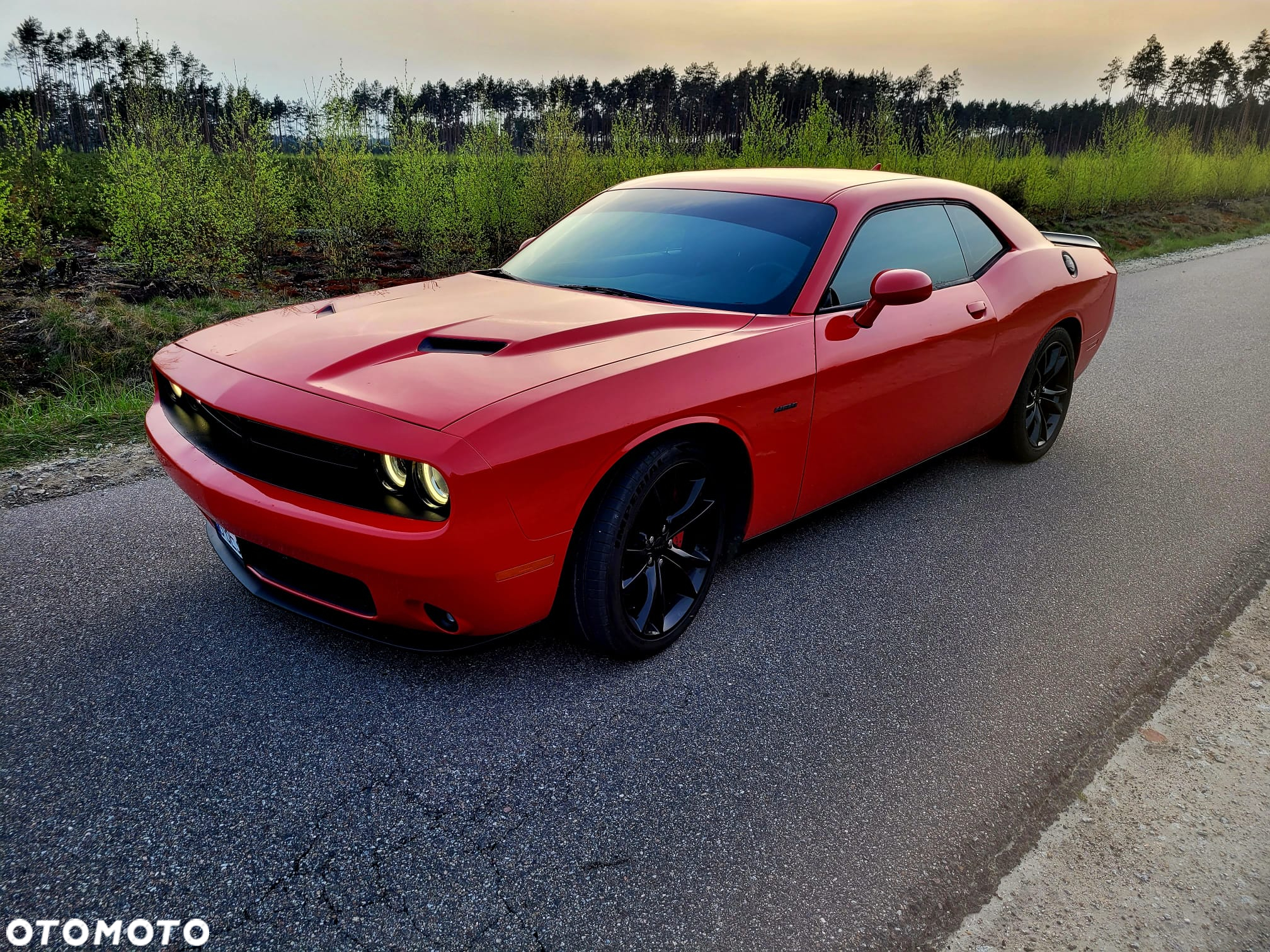 Dodge Challenger Automatik R/T Plus - 4