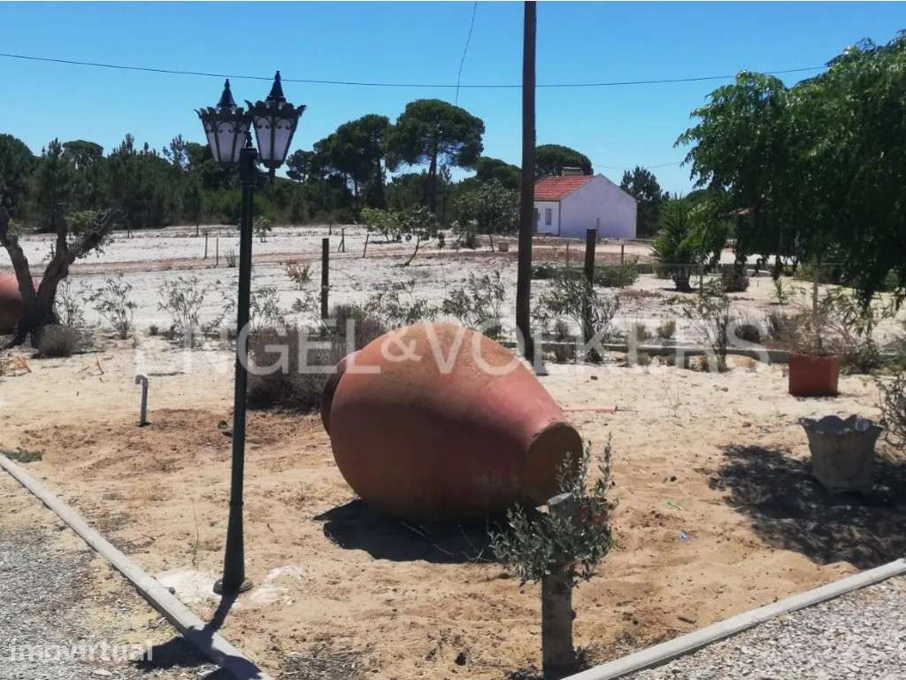 Investimento: Quinta AL em Melides - Grande imagem: 5/8