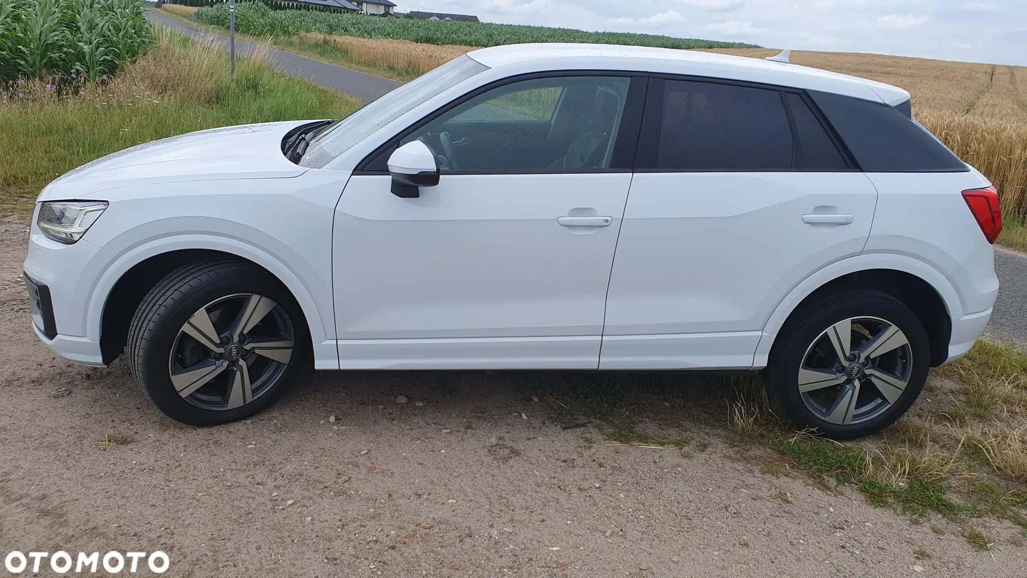 Audi Q2 1.6 TDI - 2