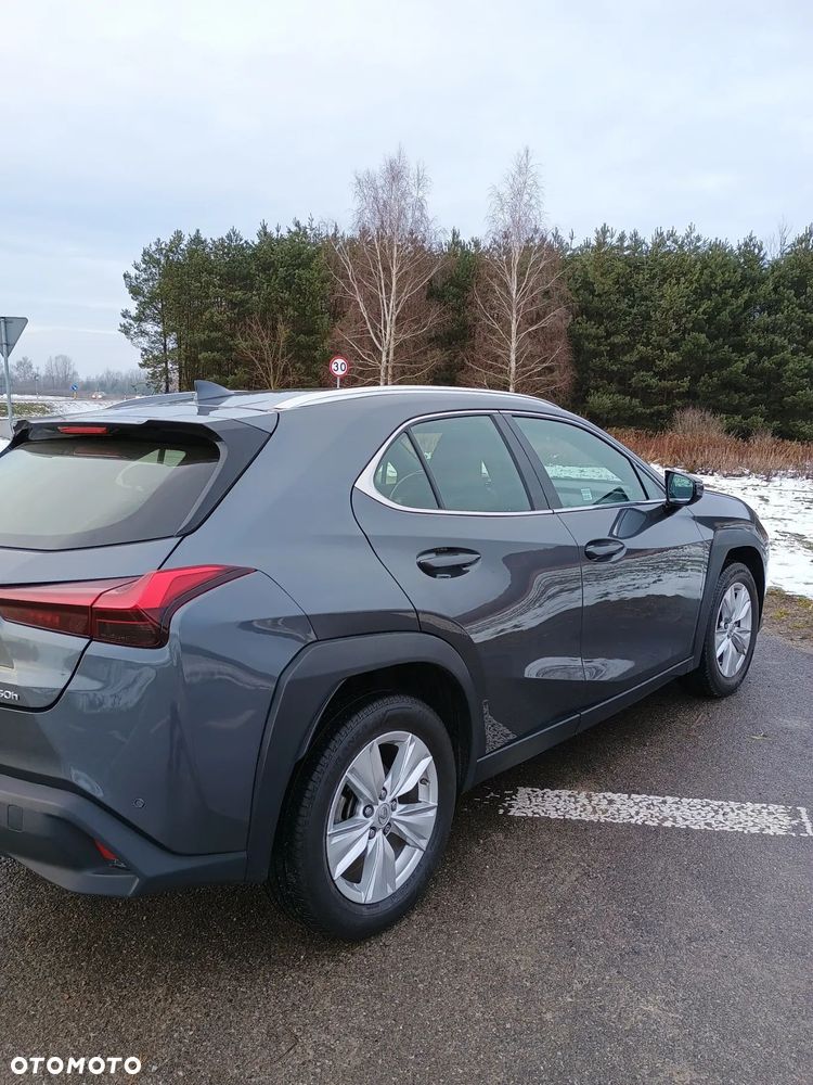 Lexus UX 250h GPF Business Edition 2WD - 6