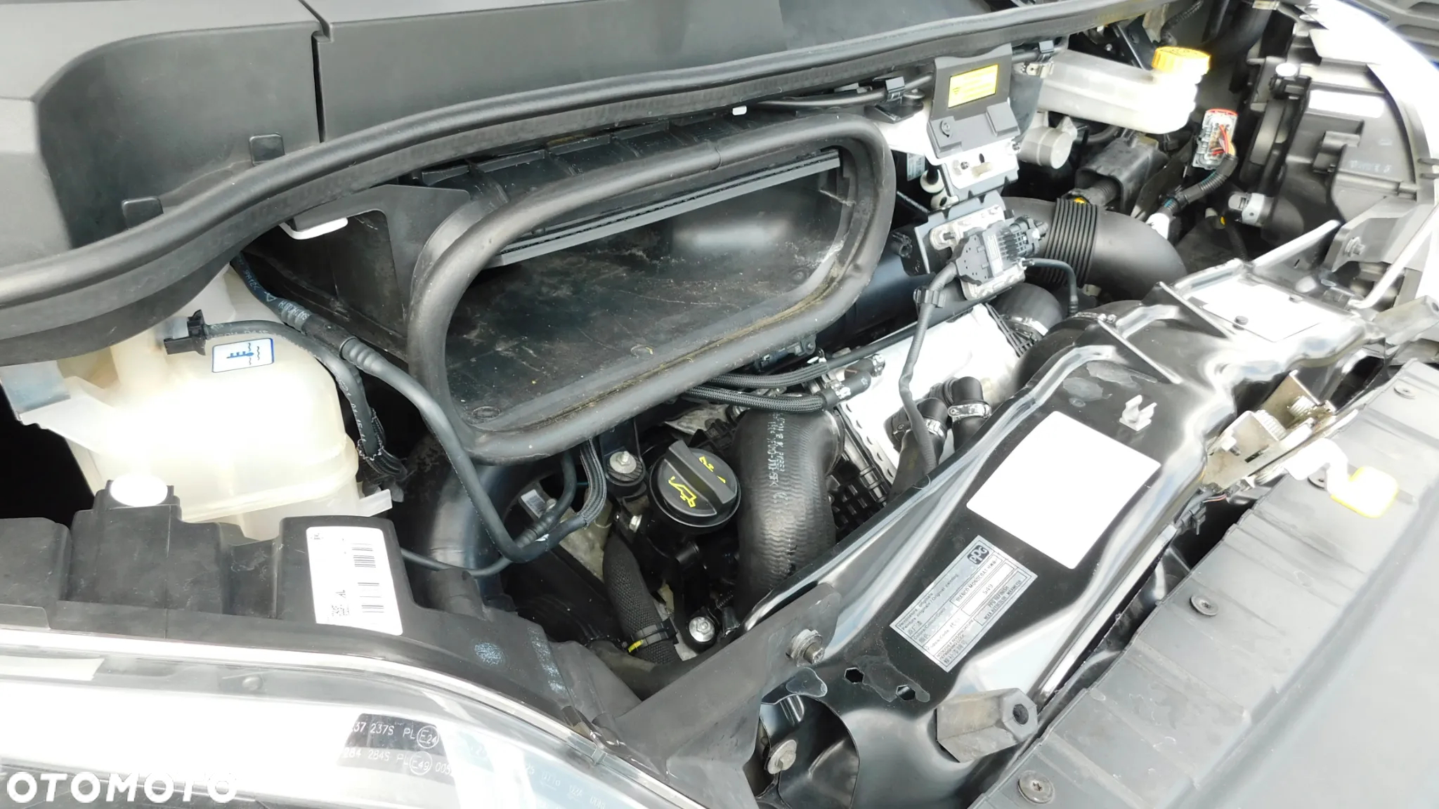Fiat Ducato Kontener - 16