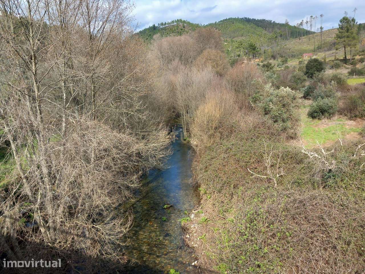 Terreno Rustico com 1450m2 Cerejeira-Alvito da Beira - Grande imagem: 3/9