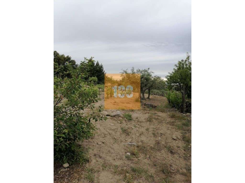 Terreno em Larinho - Grande imagem: 4/22